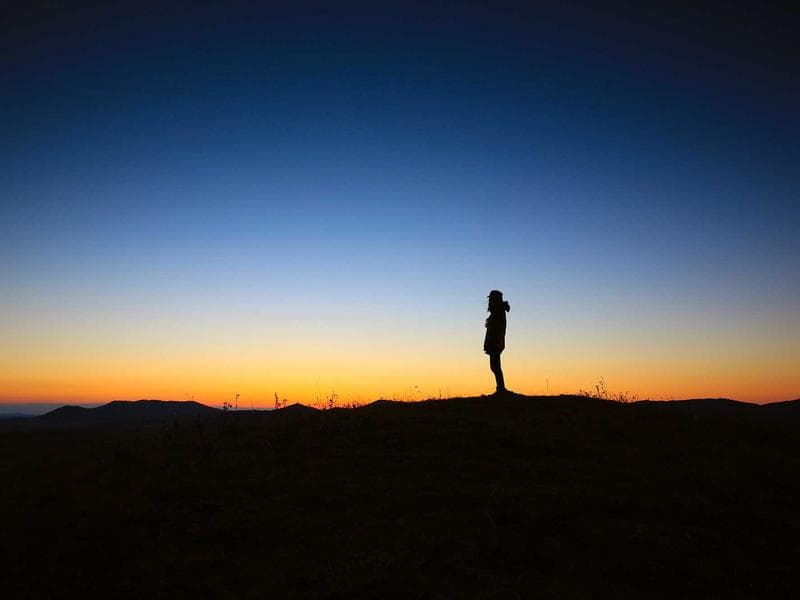 Digital Marketing Results